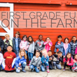 Fun and the Farm